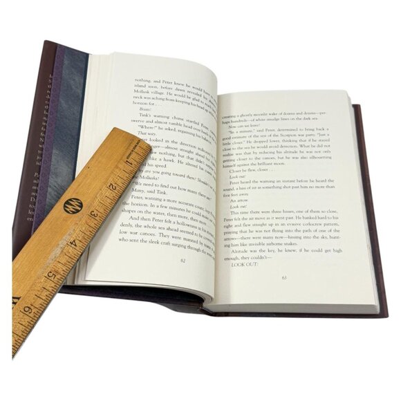 Peter Pan Dave Barry Ridley Lot 2 Rundoon Shadow Thieves Book HC DJ First Ed - Picture 5 of 10